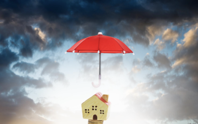 Your Roof, Your Real Estate & Your Wealth: How to Protect What Matters Most