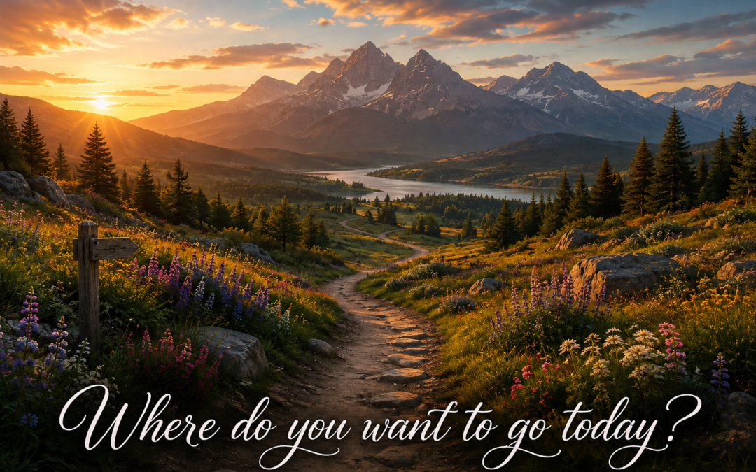 Where do you want to go today? — trail into nature at sunrise