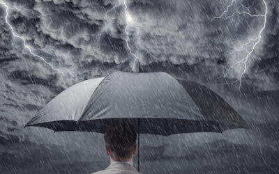 IDEAS FOR STORM-PROOFING YOUR FINANCES & YOUR HOME FROM GROUND TO ROOF